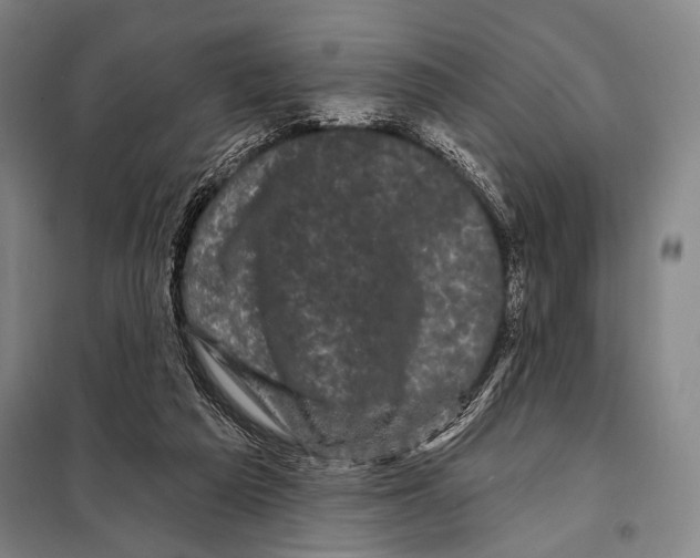 X0000097970209200804211020
