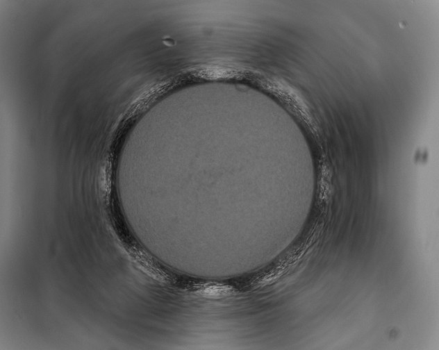 X0000097970210200804211020