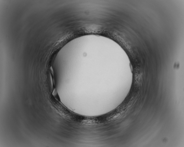 X0000097970211200804211020