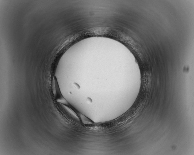 X0000097970212200804211020