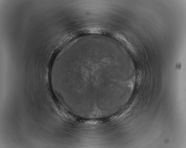 X0000097970213200804211020