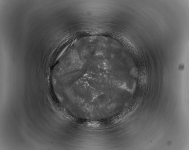 X0000097970214200804211020