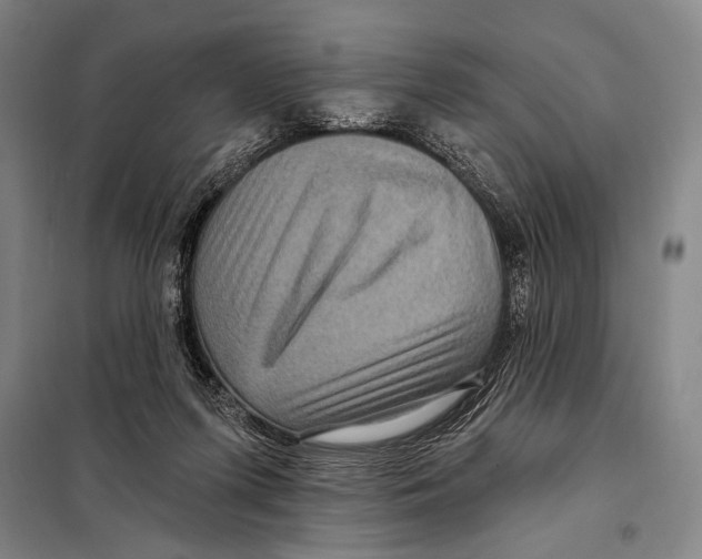 X0000097970215200804211020