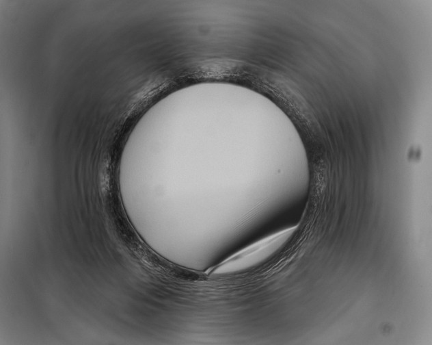 X0000097970216200804211020