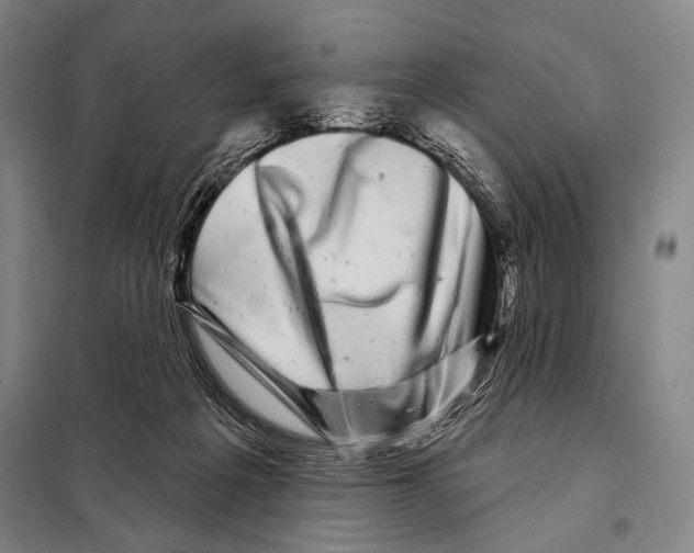 X0000097970217200804211020
