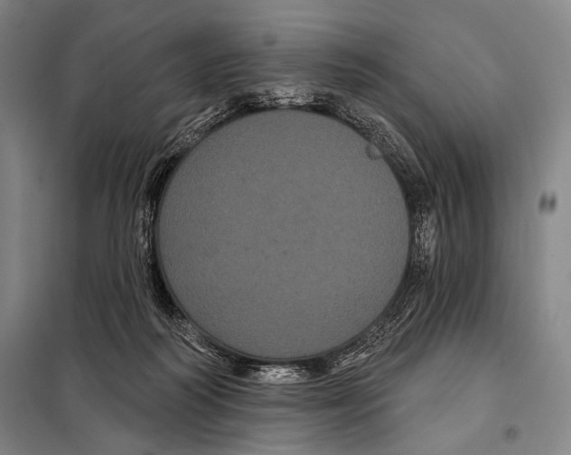 X0000097970218200804211020