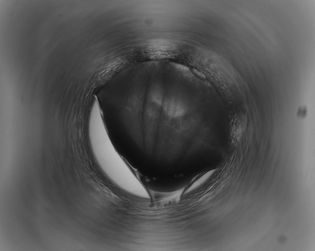 X0000097970219200804211020