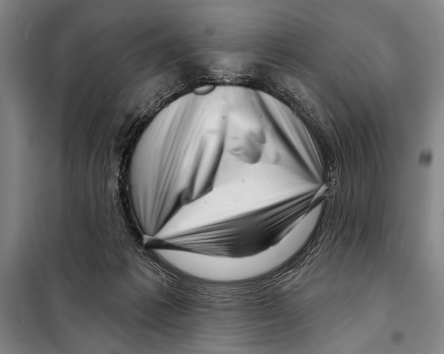 X0000097970221200804211020