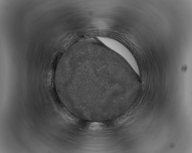 X0000097970222200804211020