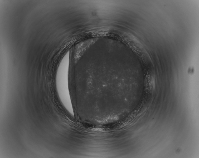 X0000097970224200804211020
