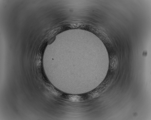 X0000097970226200804211020