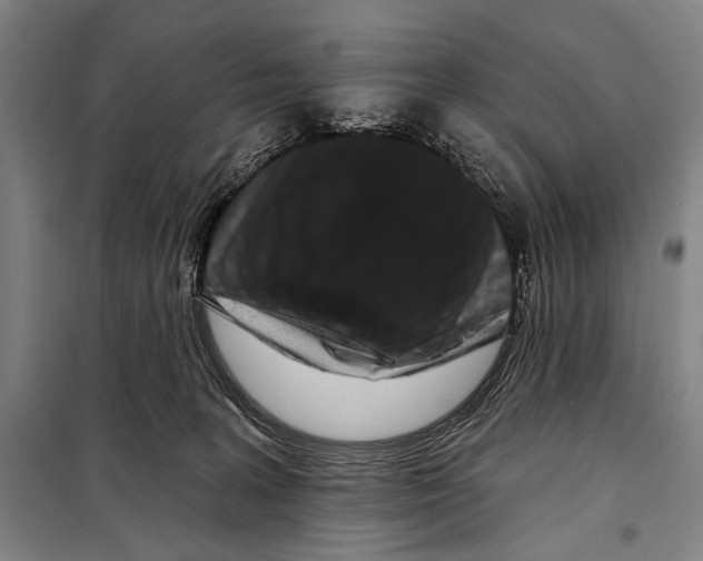 X0000097970227200804211020