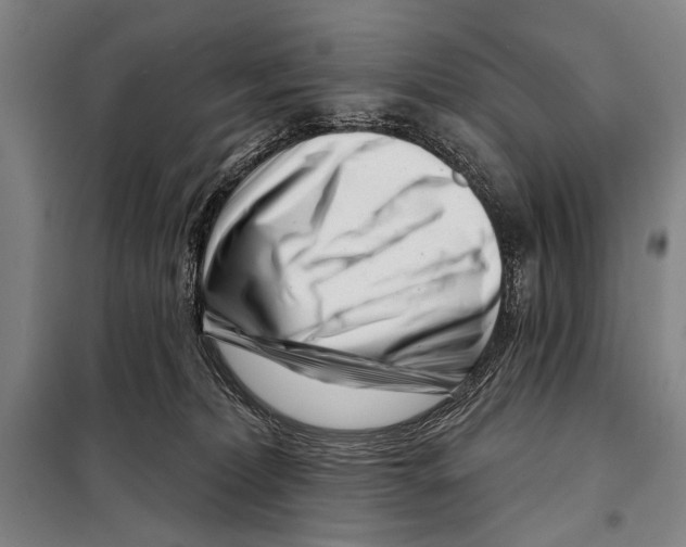 X0000097970228200804211020
