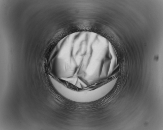 X0000097970229200804211020