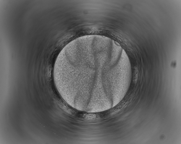 X0000097970230200804211020