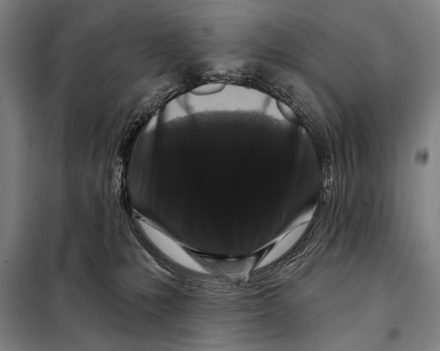 X0000097970231200804211020