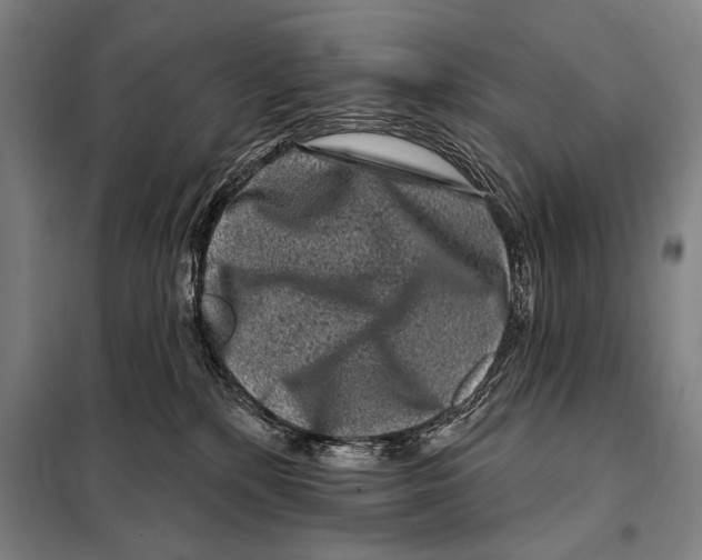 X0000097970232200804211020