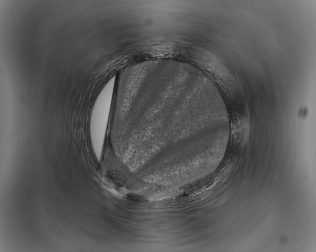 X0000097970233200804211020