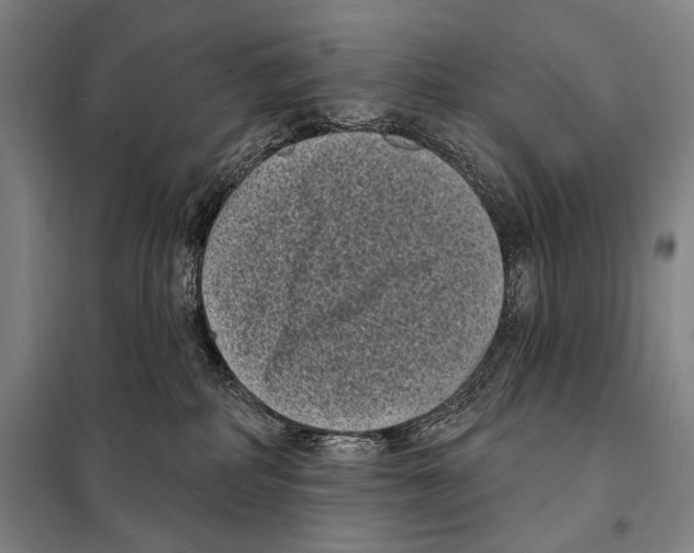 X0000097970234200804211020