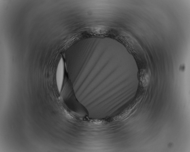 X0000097970235200804211020