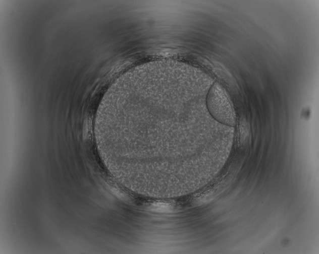 X0000097970236200804211020