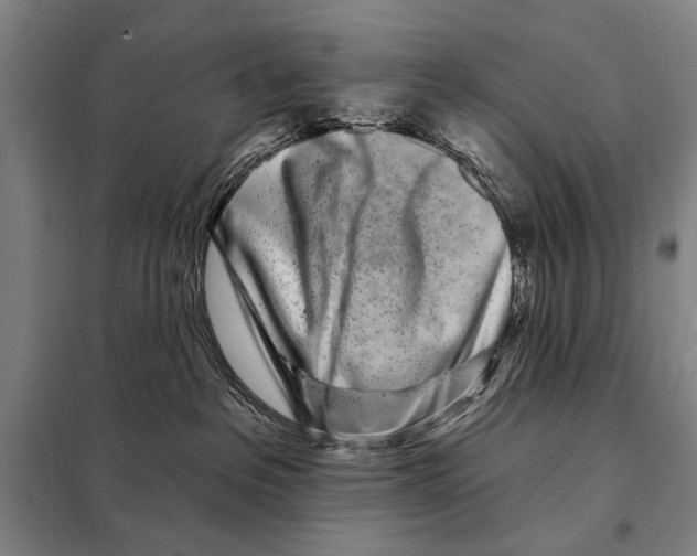 X0000097970237200804211020