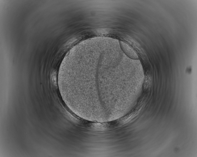 X0000097970238200804211020