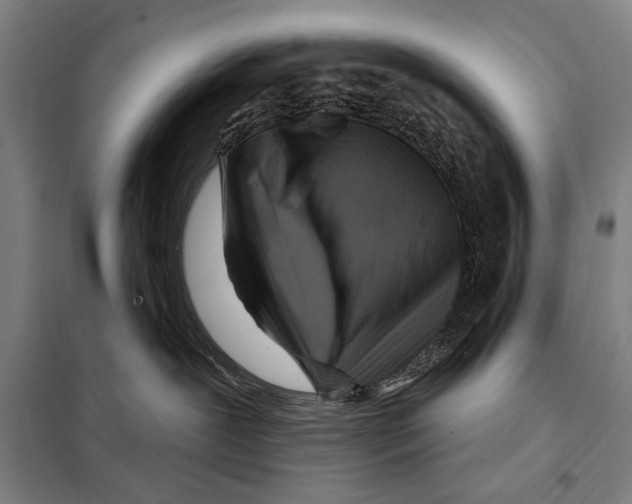 X0000097970239200804211020