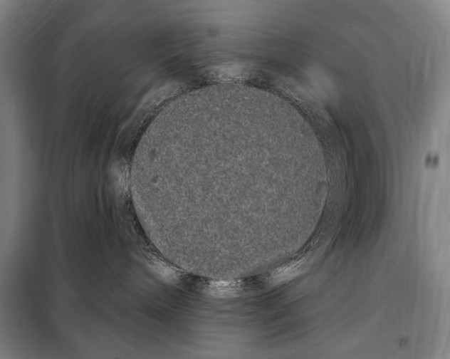 X0000097970240200804211020