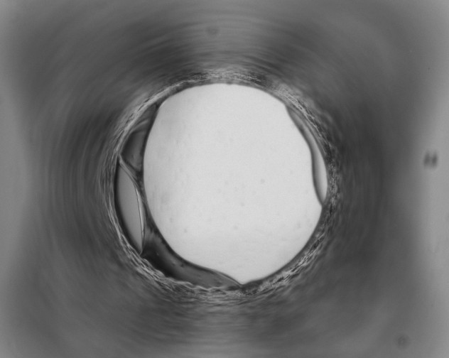 X0000097970241200804211019