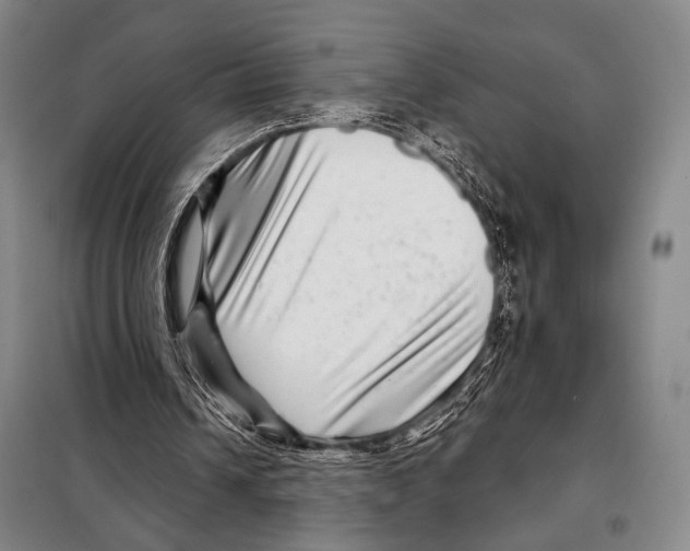 X0000097970242200804211019