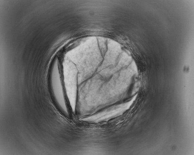X0000097970243200804211019