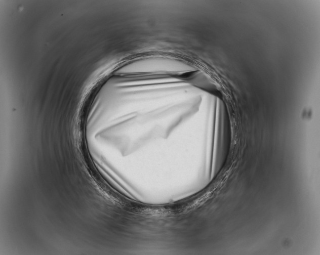 X0000097970245200804211019