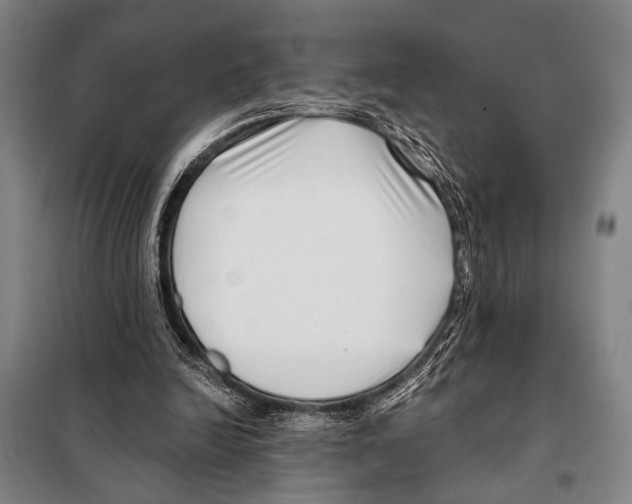 X0000097970246200804211019