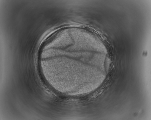 X0000097970247200804211019