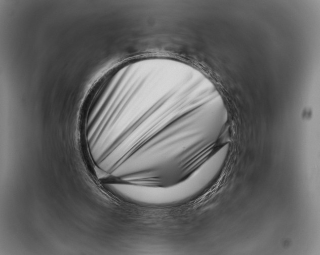 X0000097970248200804211019