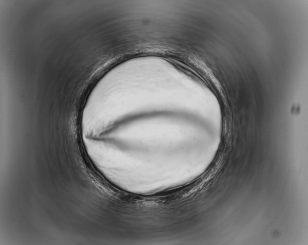 X0000097970249200804211019