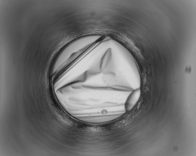 X0000097970250200804211019