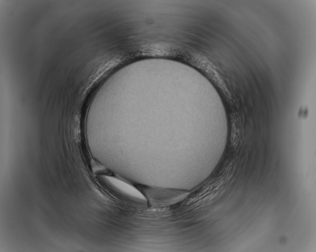 X0000097970251200804211019