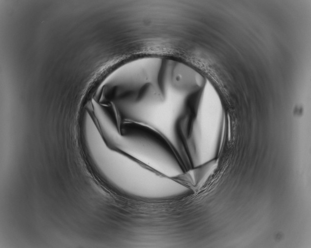X0000097970252200804211019