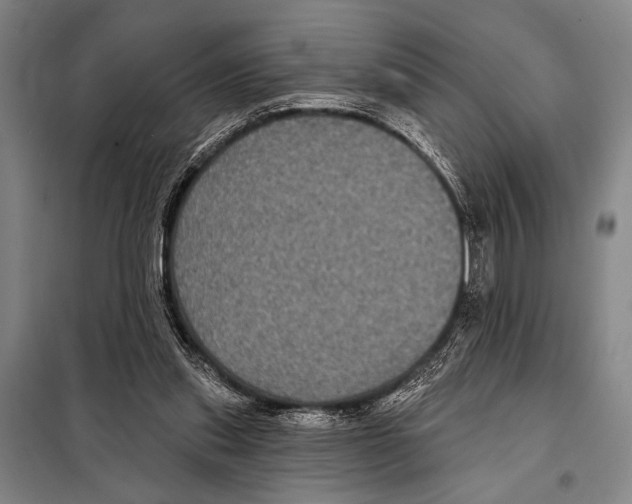 X0000097970253200804211019