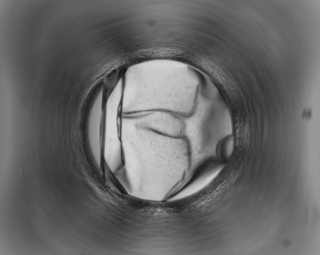 X0000097970254200804211019