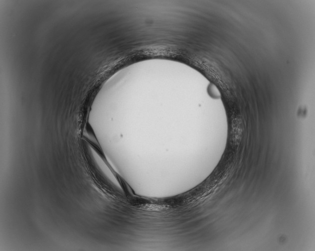 X0000097970255200804211019