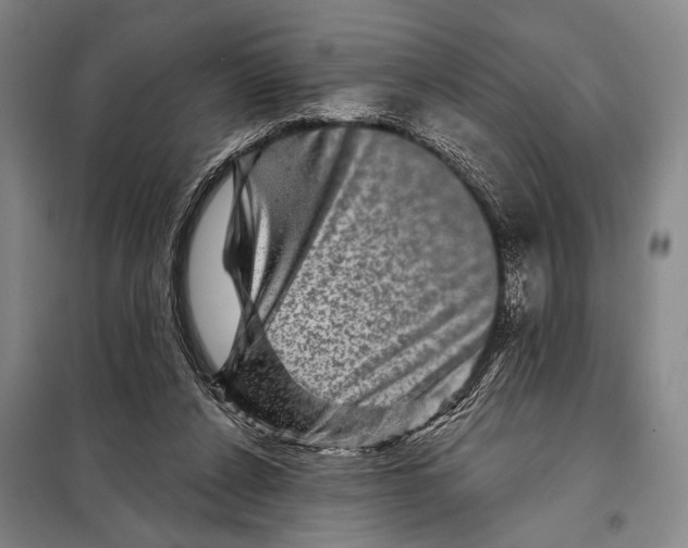 X0000097970256200804211019