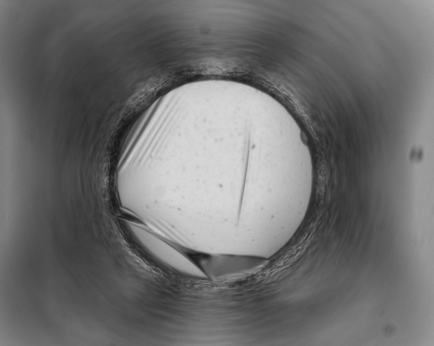 X0000097970257200804211019
