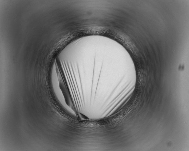 X0000097970258200804211019