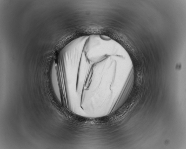 X0000097970259200804211019