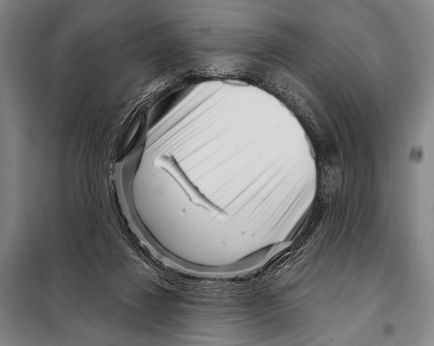 X0000097970260200804211019