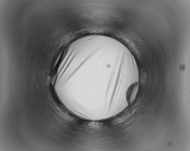 X0000097970261200804211019