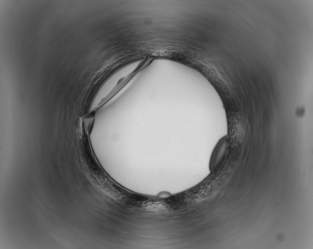 X0000097970262200804211019